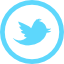 twitter button